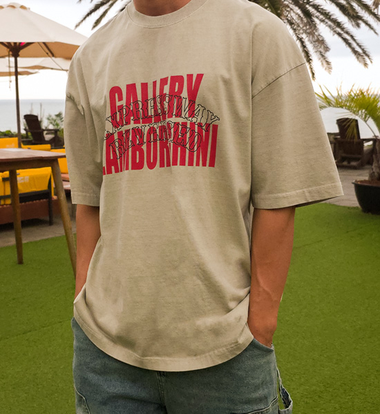 (XL-4XL)<BR>자코비나 pigment Short T shirts