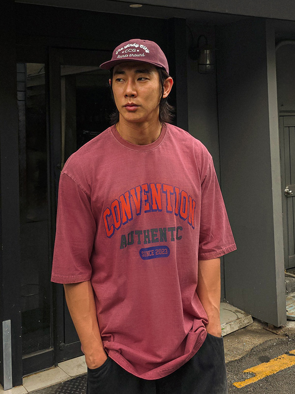 (XL-6XL)<BR>픽턴 pigment Short T shirts