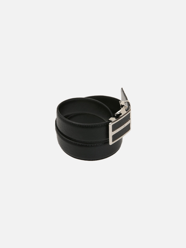 드호타 automatic belt