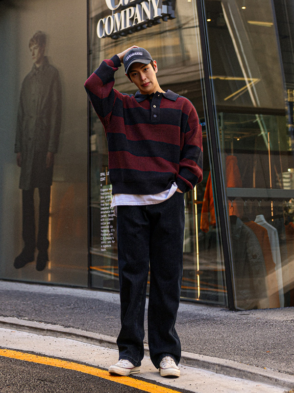 카이사르 stripe 카라니트